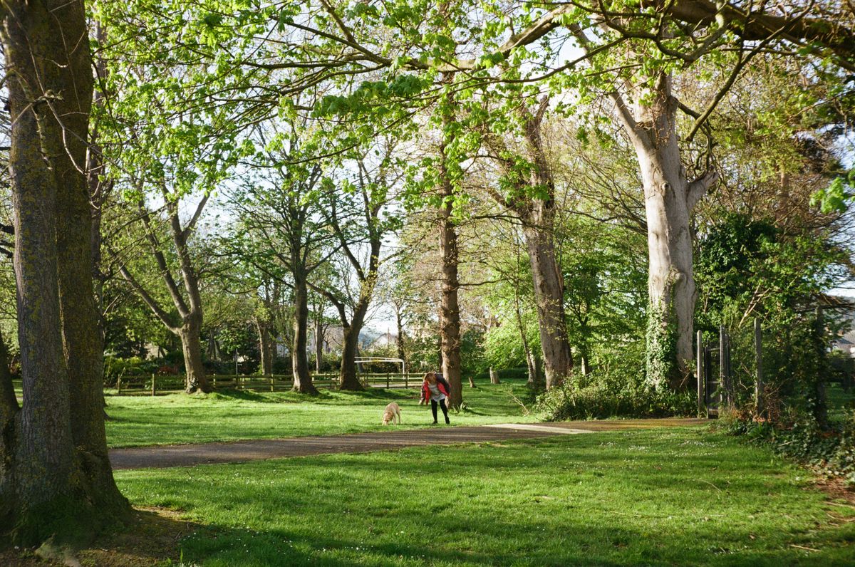 A dog and its companion enjoying a green community park