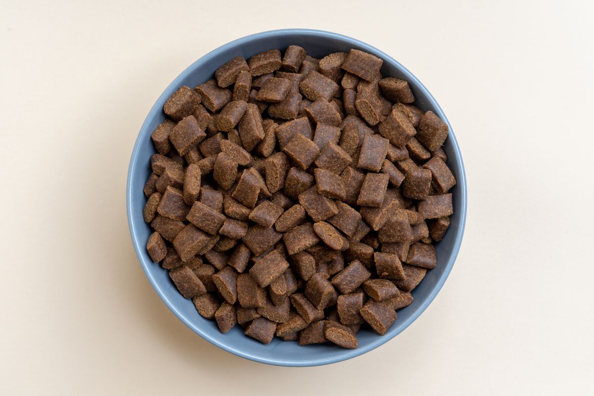 A bowl of dry dog food