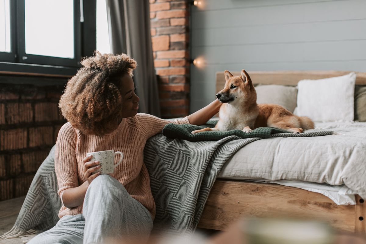 Dogs and the people who care for them