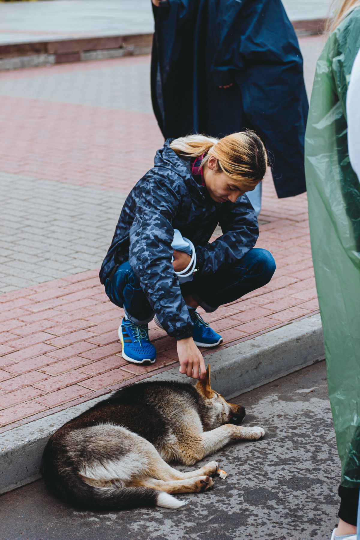 Dogs and the people who care for them