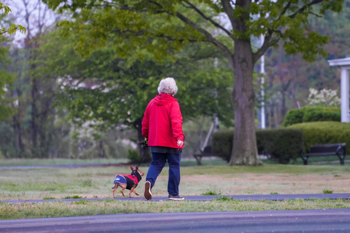 A woman walking her dog in a green park